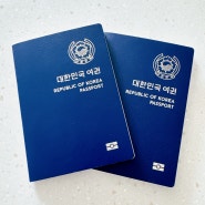 여권 재발급 준비물은? 온라인 비용 소요기간 장소 총정리