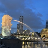 싱가포르 가족 여행 준비 : 항공권, 숙소, 유심, 여행자보험, 주차대행, 환전 트래블월렛