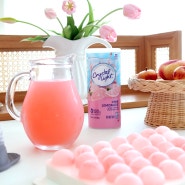 레몬에이드 만드는법 크리스탈라이트 핑크 레모네이드 만들기 + 원형 왕얼음틀