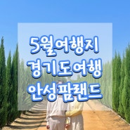 [경기도여행] 24년 5월 2일자 안성팜랜드 호밀밭/유채꽃개화 상태🌼