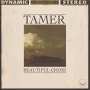 미국 가수 Tamer - Beautiful Crime (가사/ 해석)