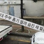 서귀포 40대 주부 살인 사건, 강도 의심
