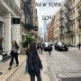 뉴욕 여행 : 소호거리 걷기 , 에일린스 치즈케이크, 뉴욕 차이나타운 , 트레이더조