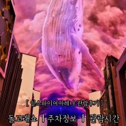 [인스파이어 아레나 관람후기] 돌고래쇼ㅣ주차정보ㅣ관람시간