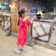 동탄 아이와 함께 갈만한 곳 주렁주렁 동탄라크몽점 실내동물원 다녀왔지요