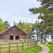전북 고창 아이와 가볼만한곳 상하농원 입장료 체험 상하목장 양떼목장