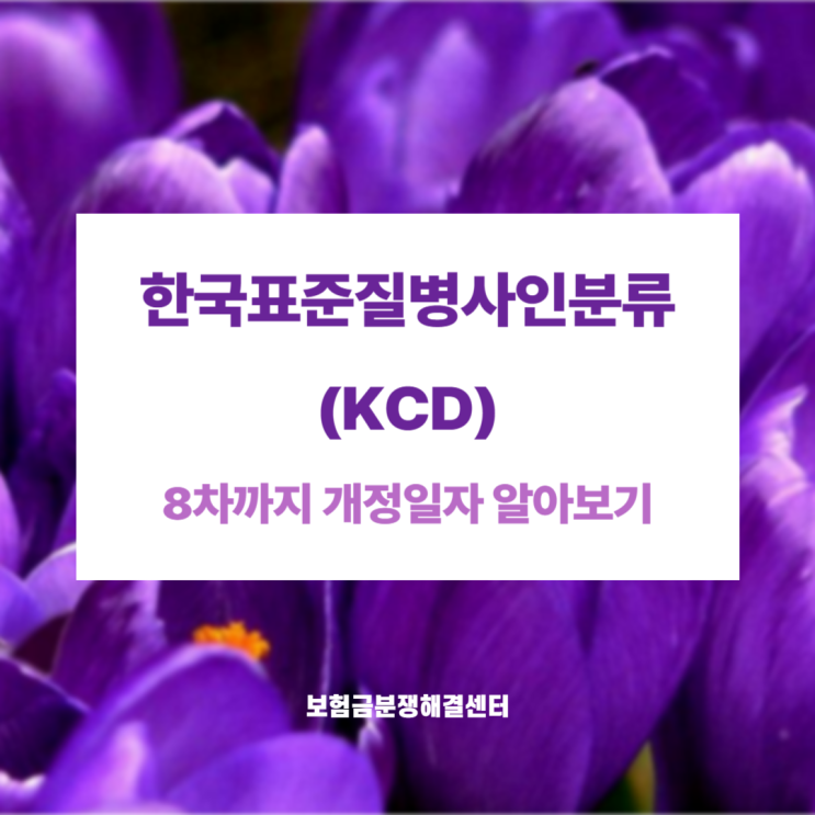 한국표준질병사인분류(KCD) 8차까지 개정일자 알아보기 : 네이버 블로그