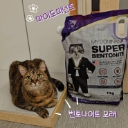 고양이 화장실 청소 방법 마이도미넌트 고양이 모래 버리기