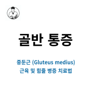 골반 통증 / 중둔근 (Gluteus medius) 근육 및 힘줄 병증 치료