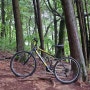 고물상에서 구매한 자전거 알톤 바이퍼 엑스티드 26GM 주행기 (산에서 타보자!)