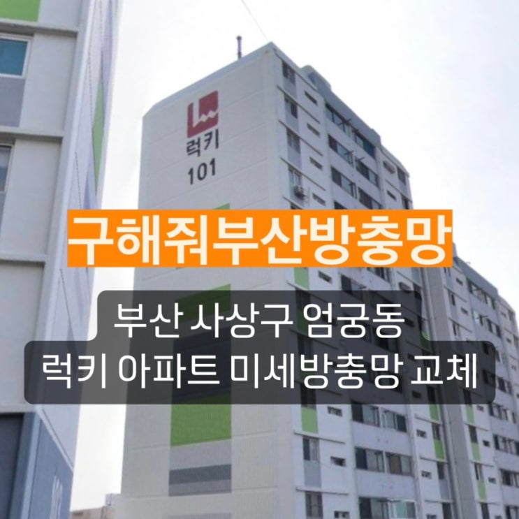 부산방충망 전문 업체 부산 사상구 엄궁동 럭키아파트 미세방충망 교체 현장