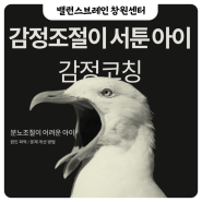 감정조절이 서툰아이에게 감정코칭하는 방법