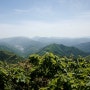 경주 단석산 등산코스 당고개갈림길 당고개 원점회귀