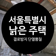 서울 낡은주택 리모델링현장 결로현상방지 수성연질폼 연질우레탄 천장단열 뿜칠시공