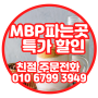 엠비피MBP가격 MBP가루 파는곳 뼈건강 MBP