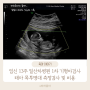 임신 13주 일산차병원 1차 기형아검사 태아목투명대 측정검사 및 비용