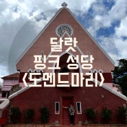 베트남 달랏 자유 여행 | 달랏 핑크 성당 도멘드마리 Domaine de marie | 달랏 시내 여행 코스 달랏 가볼만한 곳 추천