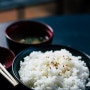 밥맛의 비밀(feat 쌀밥, 신동진,참동진,질소비료,양곡관리법)