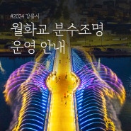 2024 강릉시 월화교 분수조명 운영 안내