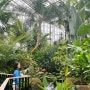 세종시 가볼만한곳 국립세종수목원 국내 최대규모 식물원