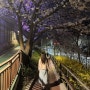 하루 벚꽃 두탕 뛴 날 🌸 덕수궁 | 신가네왕코등갈비 | 서울 중랑천 벚꽃