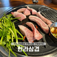 일산 풍동 맛집 미나리와 제주돼지의 만남 '한라삼겹' 내돈내산 후기