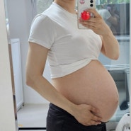 임신 39주~40주 / 마지막 임신일기, 만삭 배 크기, 친정집에서 요양