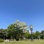 [서초 교대역 공원] 몽마르뜨 공원과 서리풀 공원을 걷다
