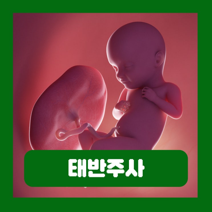 갱년기 태반주사 가격 실비 효과 부작용 : 네이버 블로그