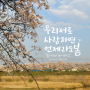 3월 한달 [미꽃체 필사노트] 아이맘띵 손글씨