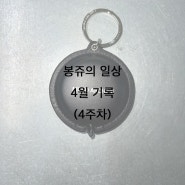 봉쥬의 일상. 24년 4월 기록(4주차)
