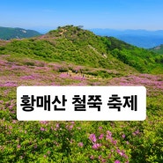 합천 황매산 등산코스 황매산군립공원 철쭉 축제 군락지 및 정상주차장 코스 덕만주차장 정보