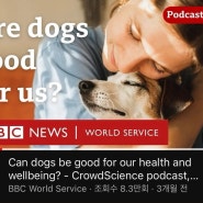 뉴스영어 추천 : BBC World Service (영어듣기 청취공부)