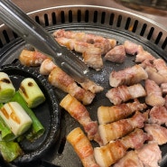 고기가맛있는 서울시청역맛집 [도틔대가]