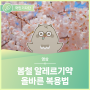[KIDS 국민기자단] 봄철 알레르기약 올바른 복용법