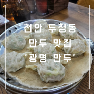 천안 서북구 두정동 만두 맛집 '광명만두'