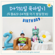 D+731일 두번째 생일 두돌 셀프촬영 아이 생일상차림 메뉴 및 23~24개월 아기 발달