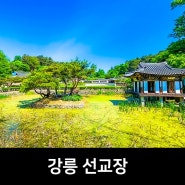 강릉 선교장, 한옥 스테이, 강릉 아이랑 가볼만한곳 아이랑 강릉 한과체험