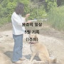 봉쥬의 일상. 24년 5월 기록(1주차)