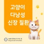 [송도동물병원] 고양이 다낭성 신장 질환 관리 방법