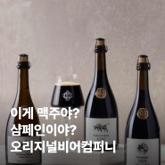 Marketing | 오리지널비어컴퍼니의 맥주 패키징 전략🍻