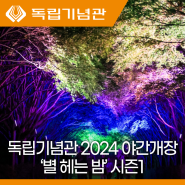천안 야경명소 2024 독립기념관 '별 헤는 밤' 단풍나무숲길 야간개장 시즌 1