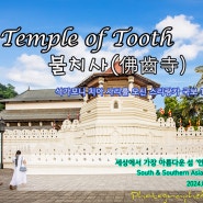 24Srilanka - 불치사(佛齒寺, Temple of Tooth)