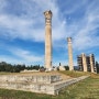 [그리스_아테네] 올림피아 제우스 신전 (Temple of Olympian Zeus), 아테네 유적지 통합권 :: 그리스 여행