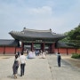 서울 고궁여행 창덕궁,창경궁