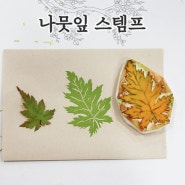 한수정작가와 함께하는 나뭇잎과 스탬프 and 수원 일월수목원 자연학교
