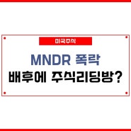 미국주식 MNDR 주가폭락 한국주식리딩방 투자