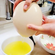 계란과 비교불가한 맛의 타조알 요리법 및 효능 소개