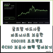 글로벌 카드사를 파트너사로 보유한 Choise 프로젝트 $CHO 보유자 혜택 알아보기