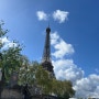 [프랑스] 유럽여행기 14일차-바토 파리지앵, 안젤리나, Les Cocottes